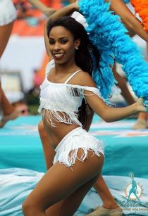 vixenp